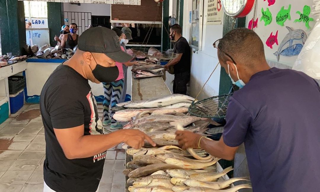 Se disparan las ventas de pescado en Vargas durante semana de ...