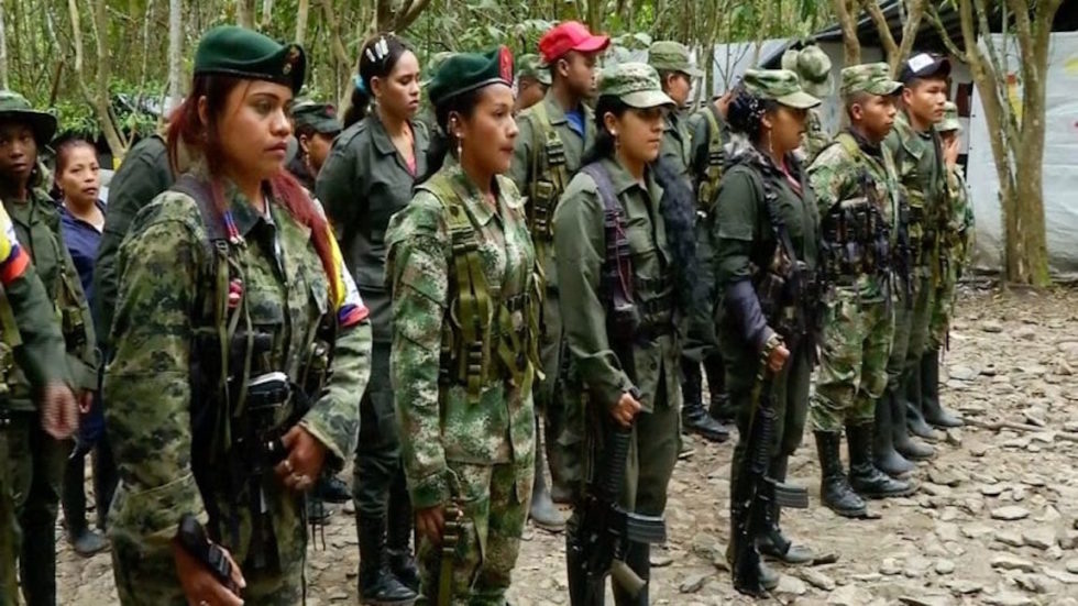 Sebastiana Barráez: "La Farc Está A Punto De Declarar Un Territorio ...