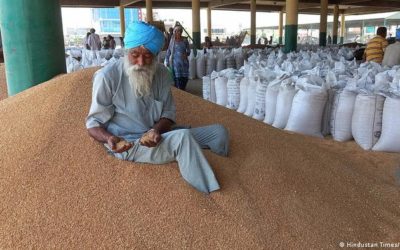 La India prohíbe la exportación de trigo por el alza global de precios